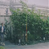 Filename=376.jpg
Filesize=179KiB
Dimensions=1920x1080
Date added=Aug 13, 2022 376.jpg